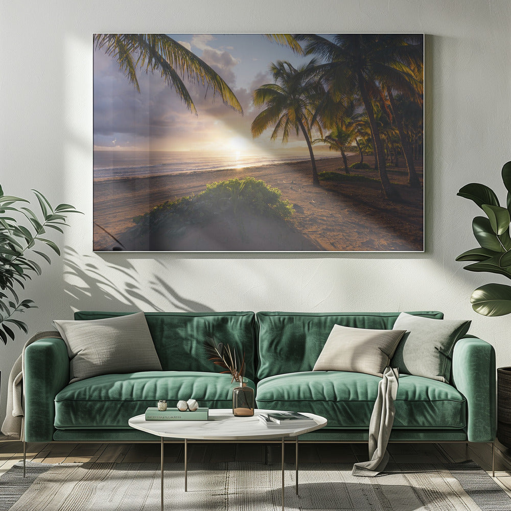 Good Morning Paradise | Canvas