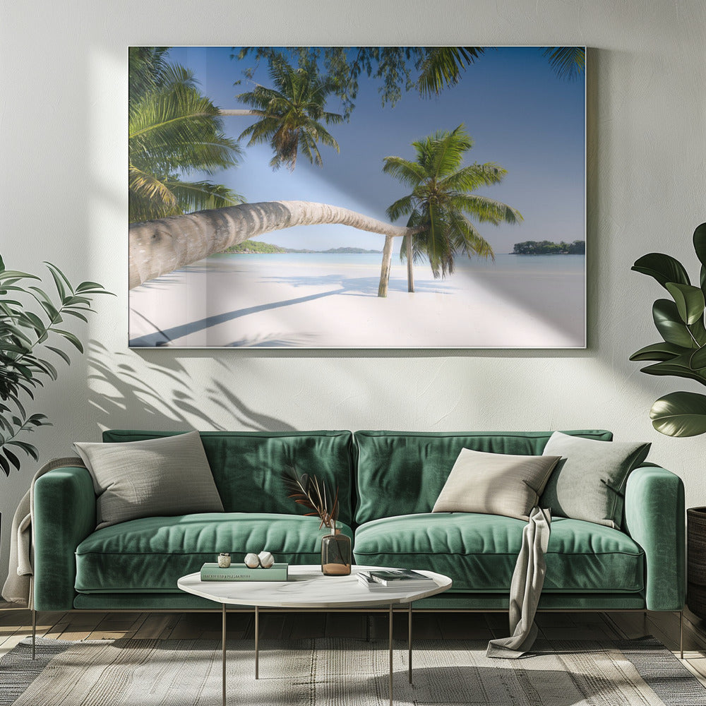 Tropical Palm | Canvas