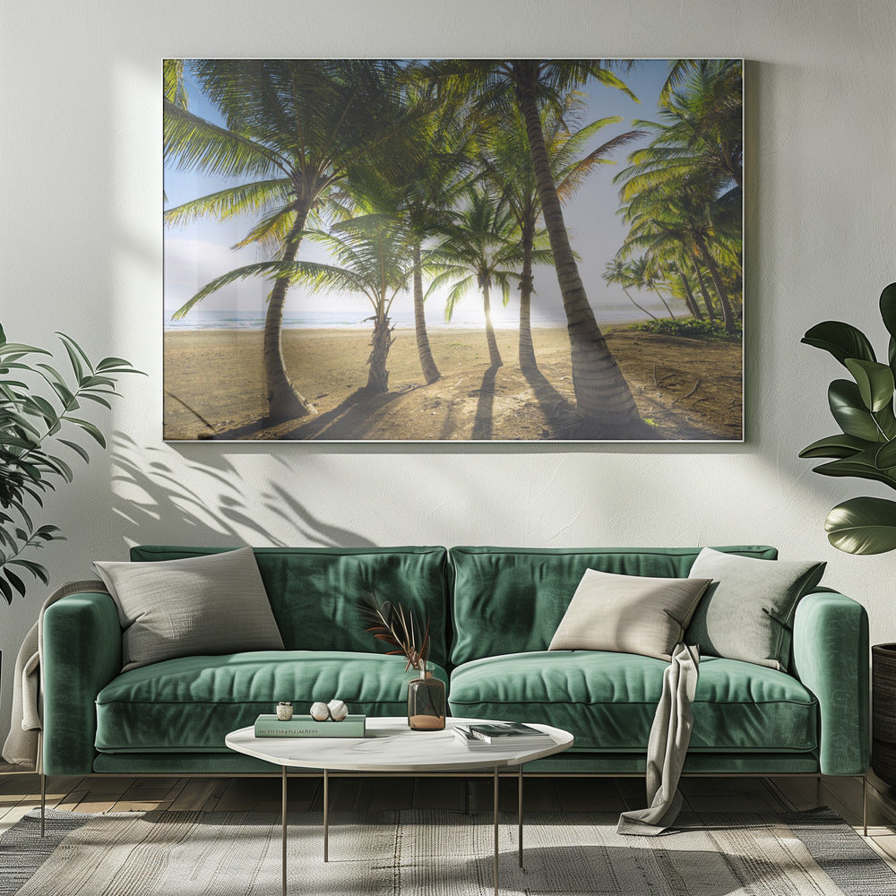 Tropical Morning | Canvas