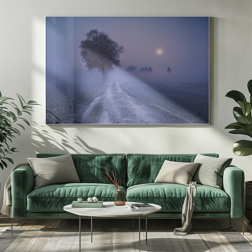 Moonlit Path | Canvas