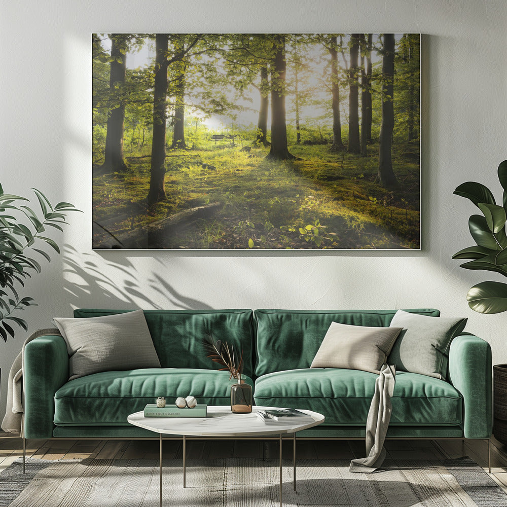 Summer in the Woods | Canvas