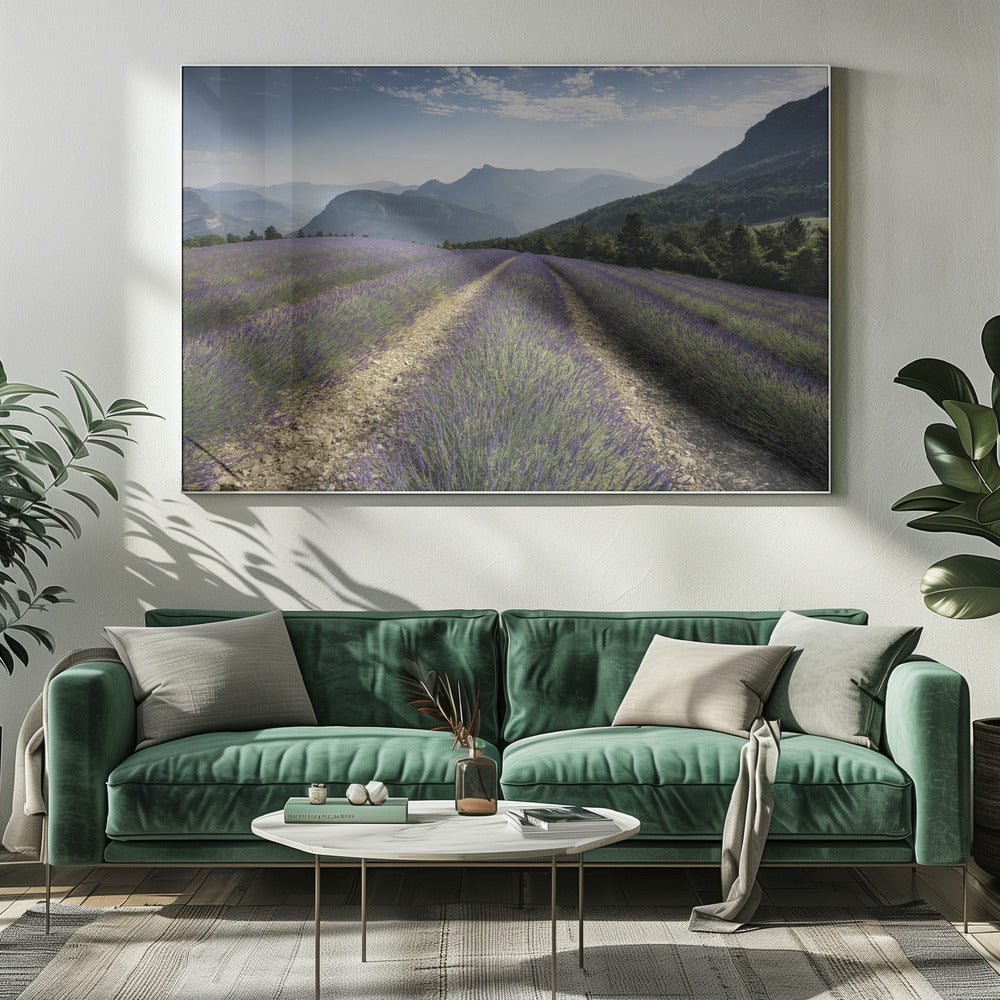 Lavender Hills | Canvas