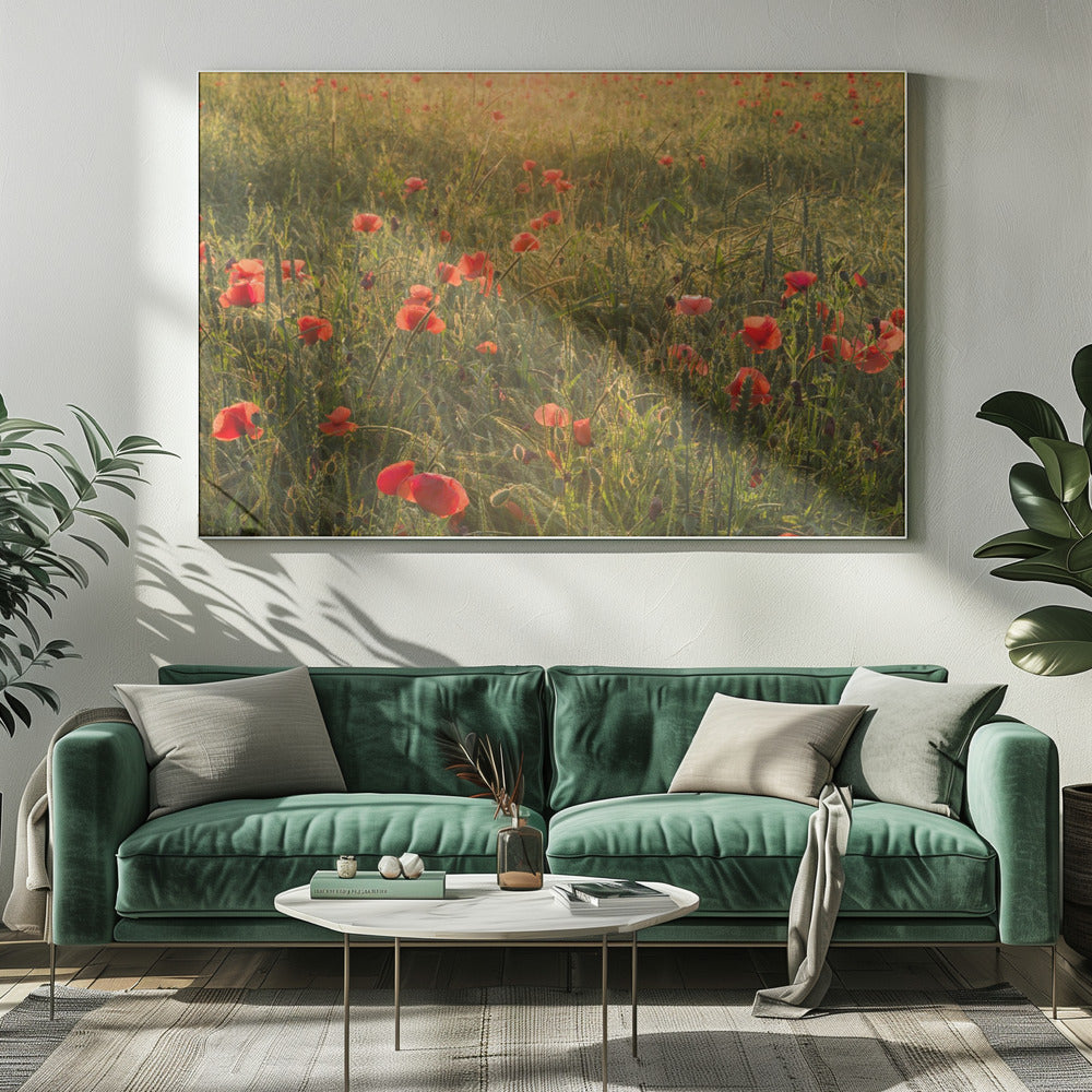 Poppy World II | Canvas