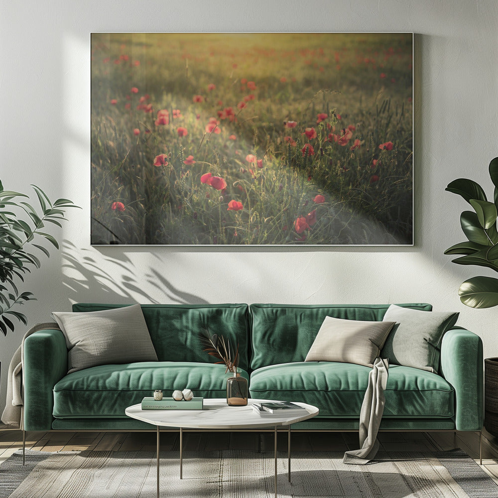 Poppy World III | Canvas