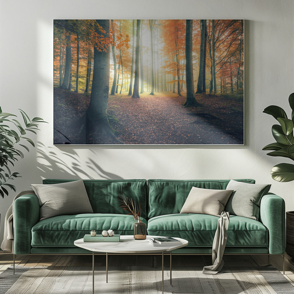 Autumn in the Woods | Canvas