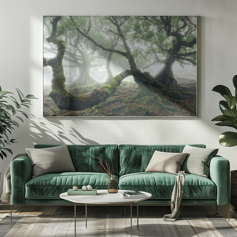 Mystic Laurel Forest | Canvas