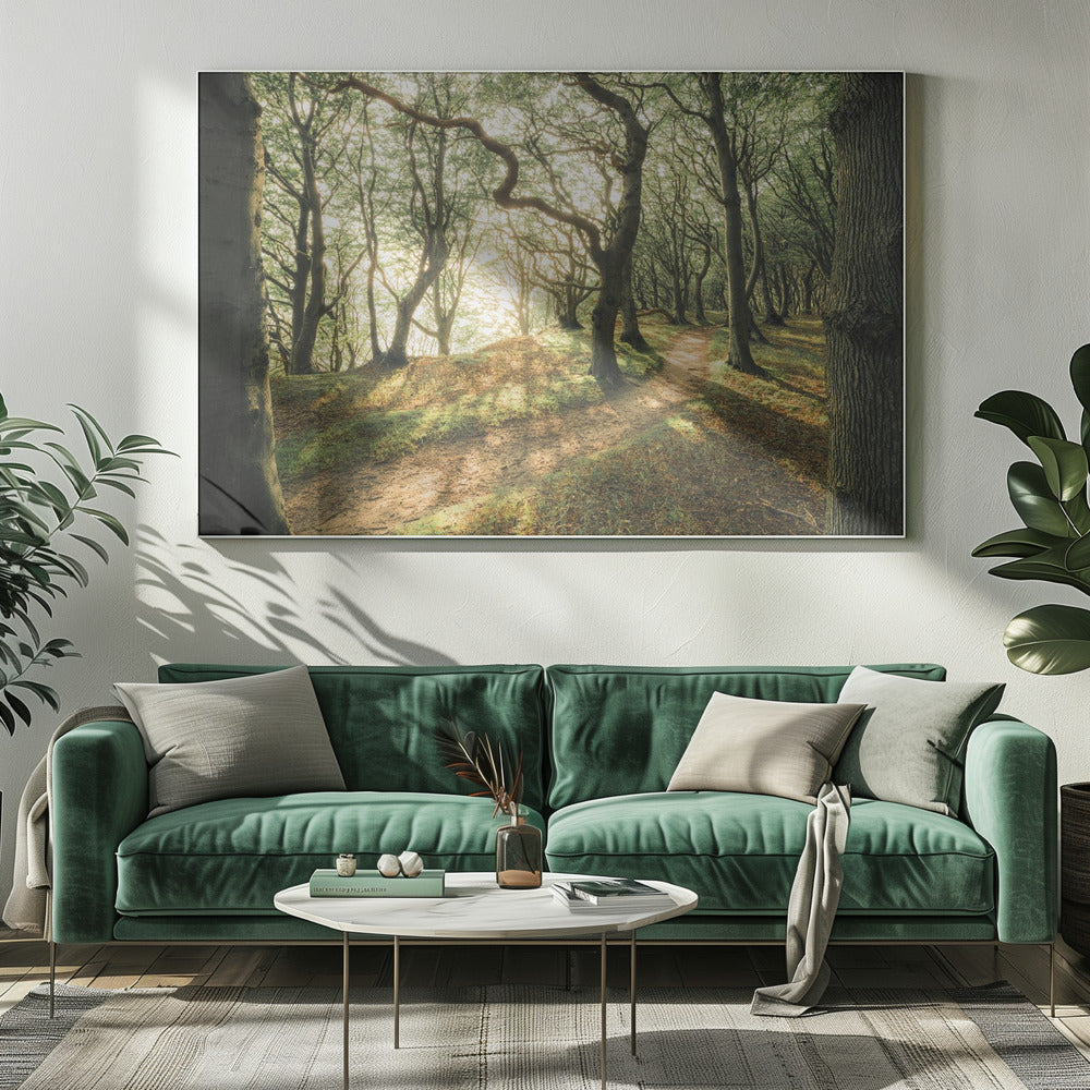Magic Beech Wood | Canvas