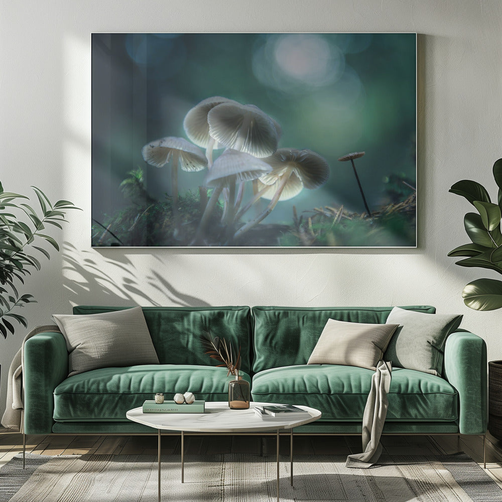 Forest Dreams | Canvas