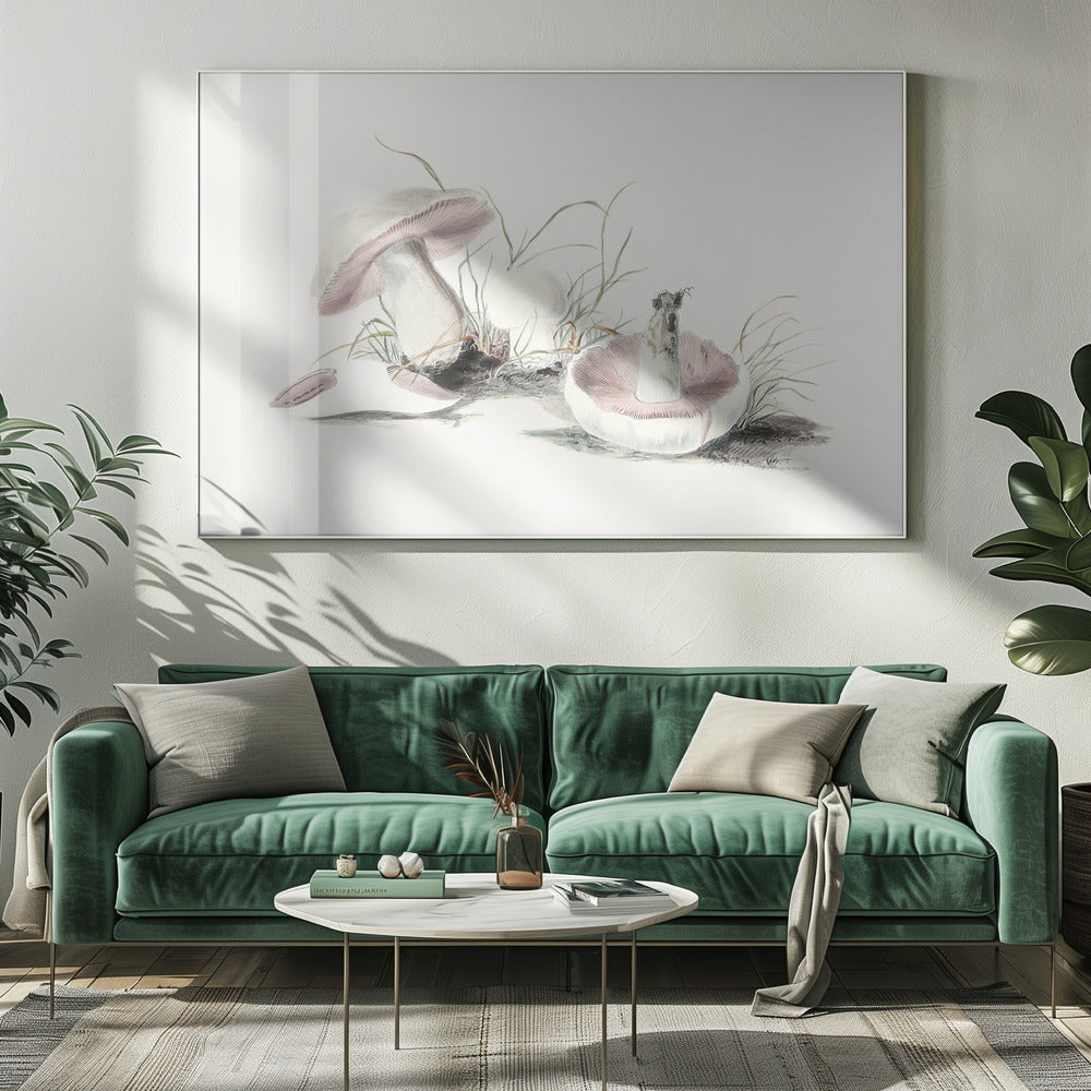 Hand Drawn Field Mushroom | Canvas