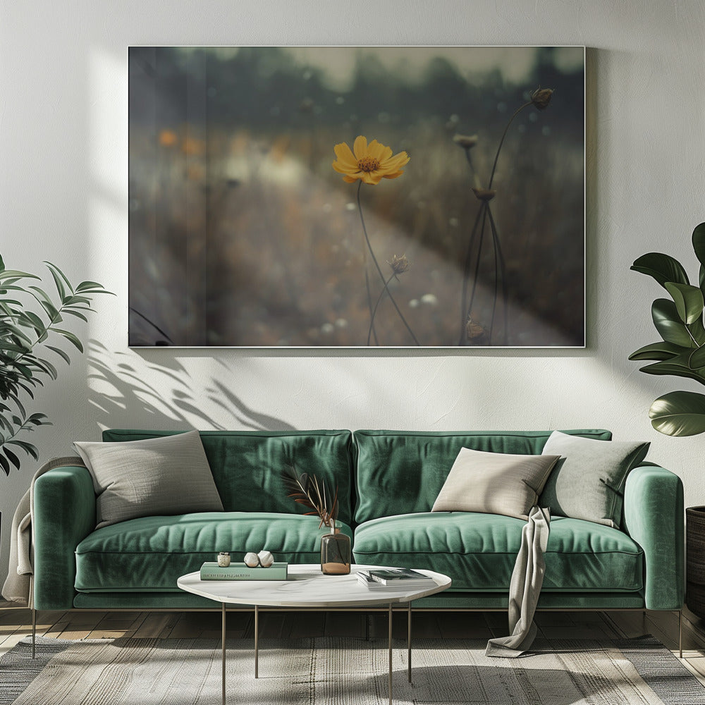 Solitary Bloomers | Canvas