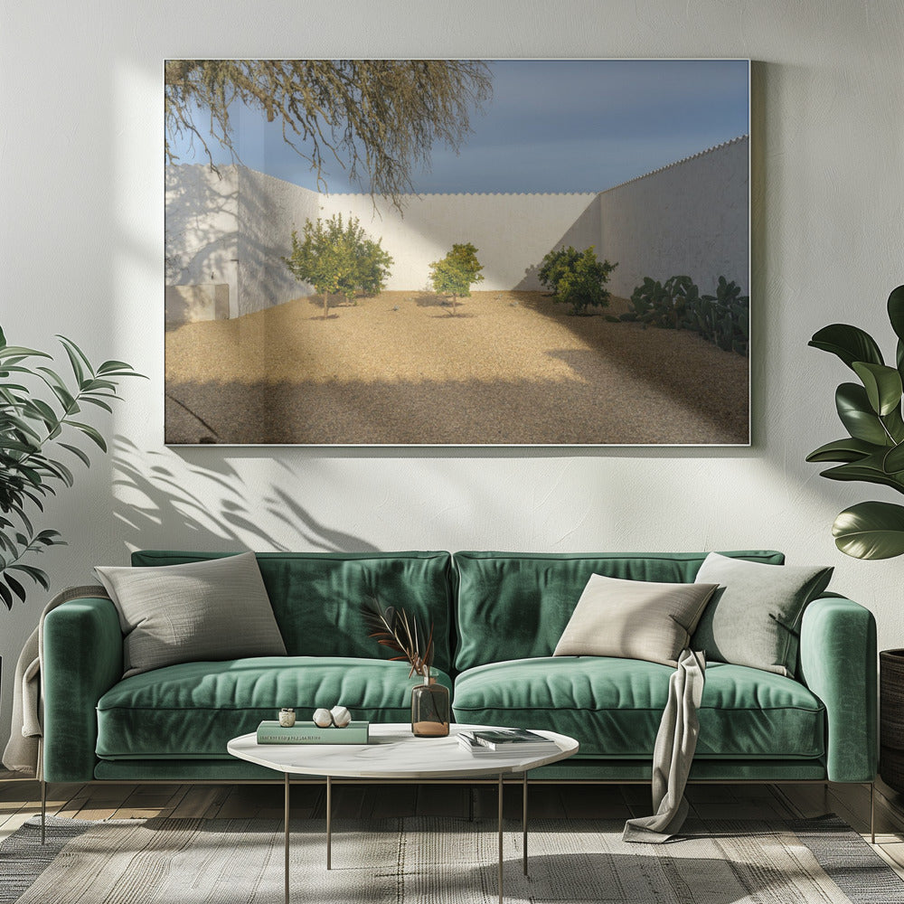 Casadavolta | Canvas