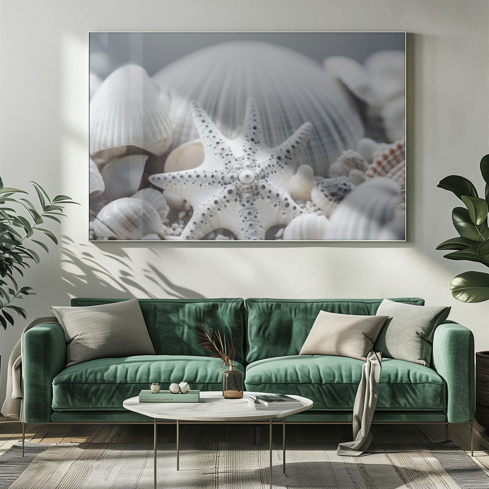 Seashell Symphony | Canvas