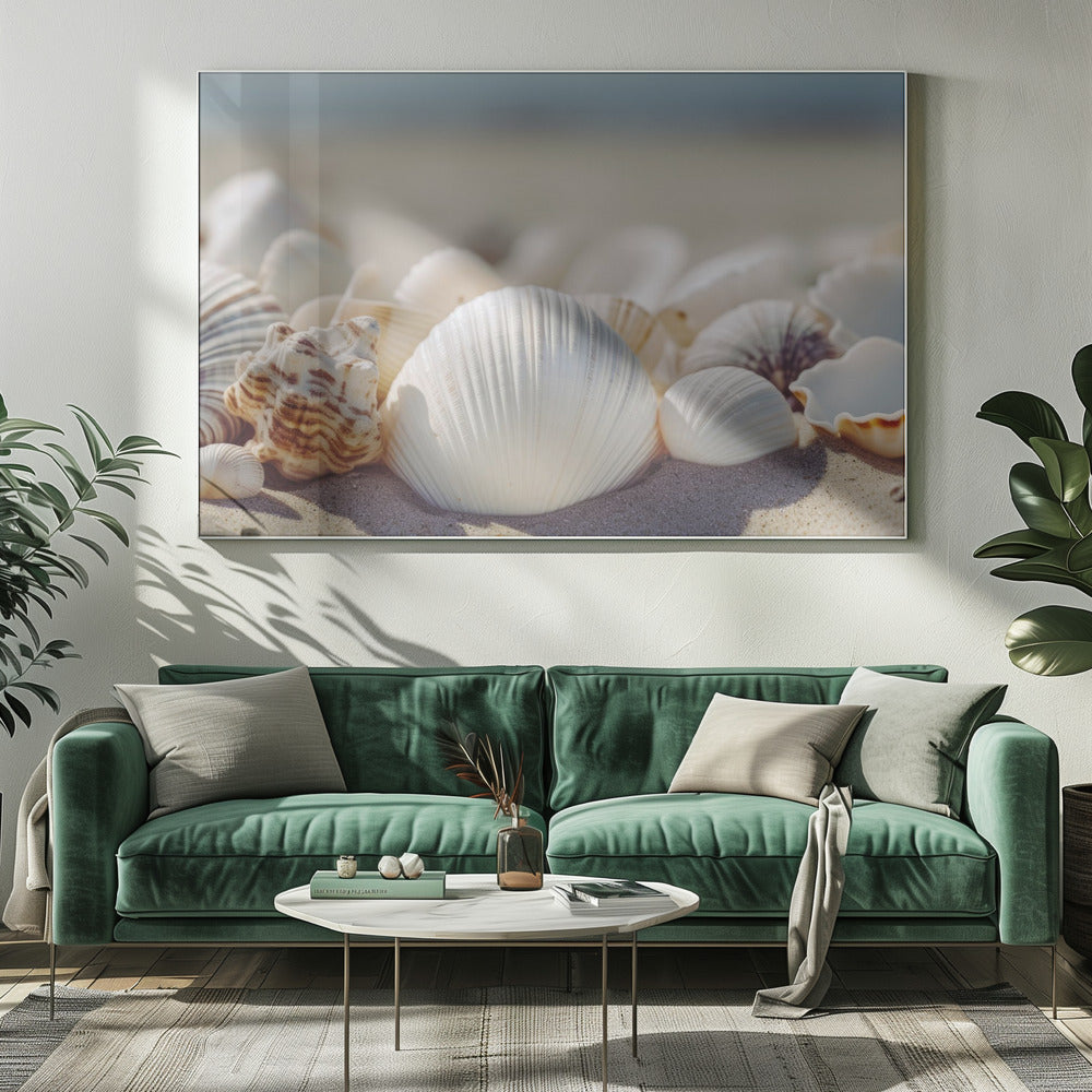 Seaside Shells | Canvas