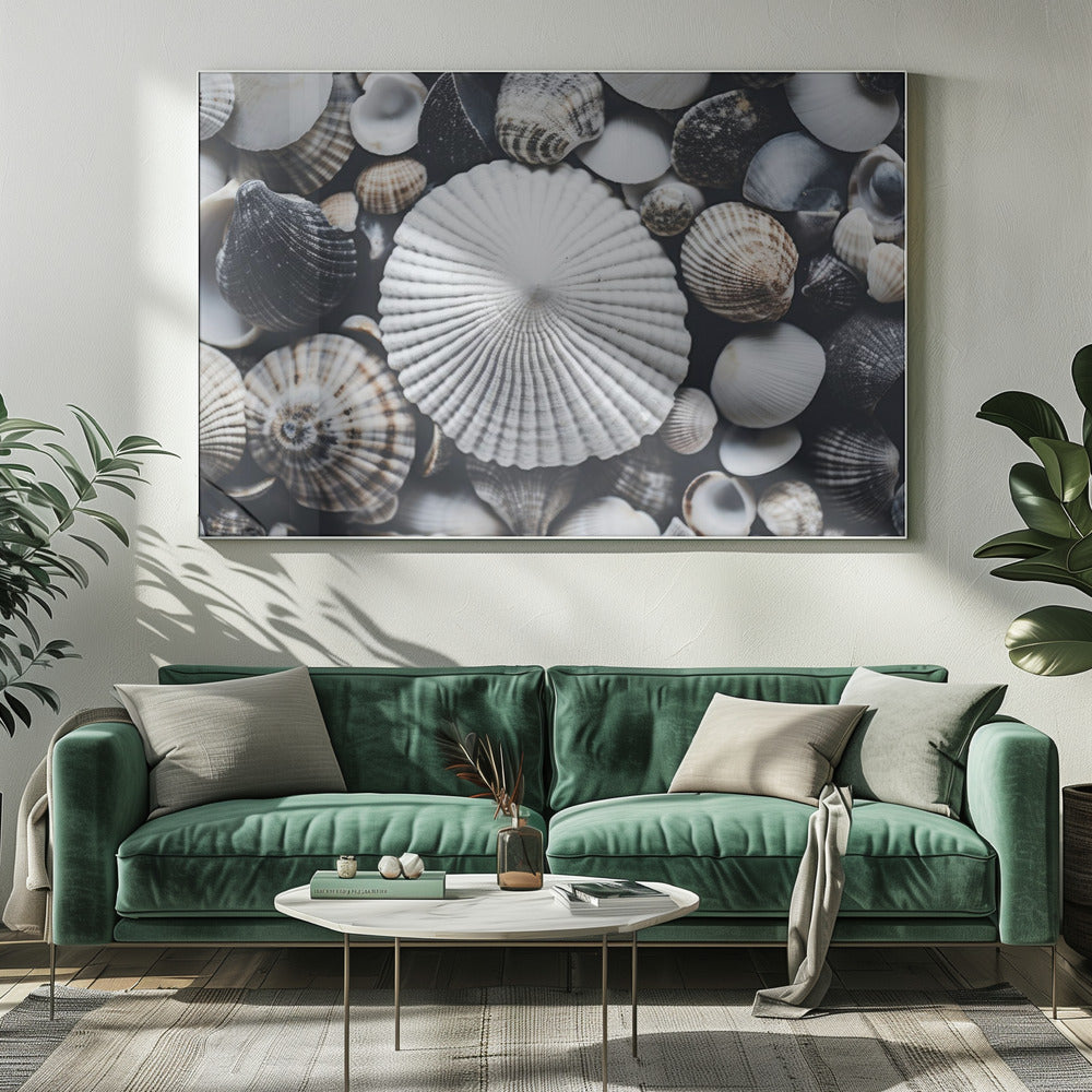 Shell Symphony | Canvas
