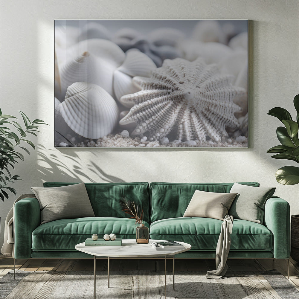 Seashell Serenity | Canvas