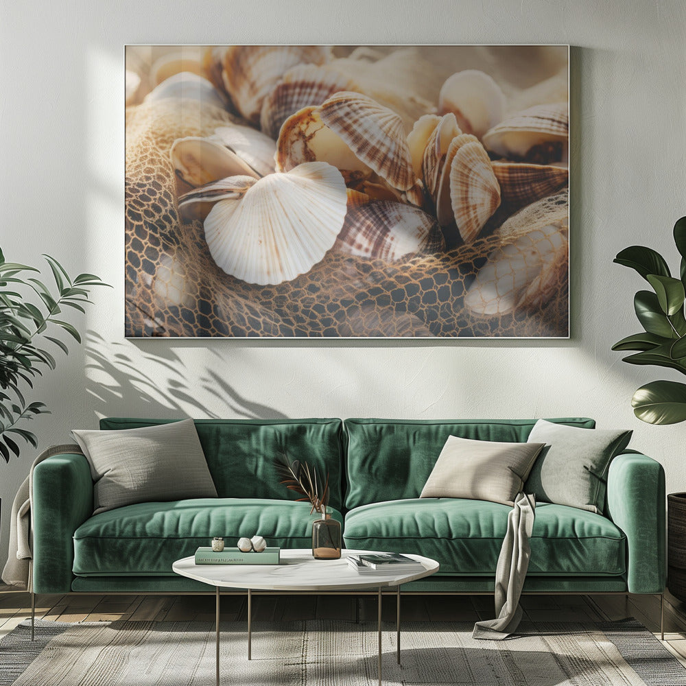 Seashell Symphony | Canvas
