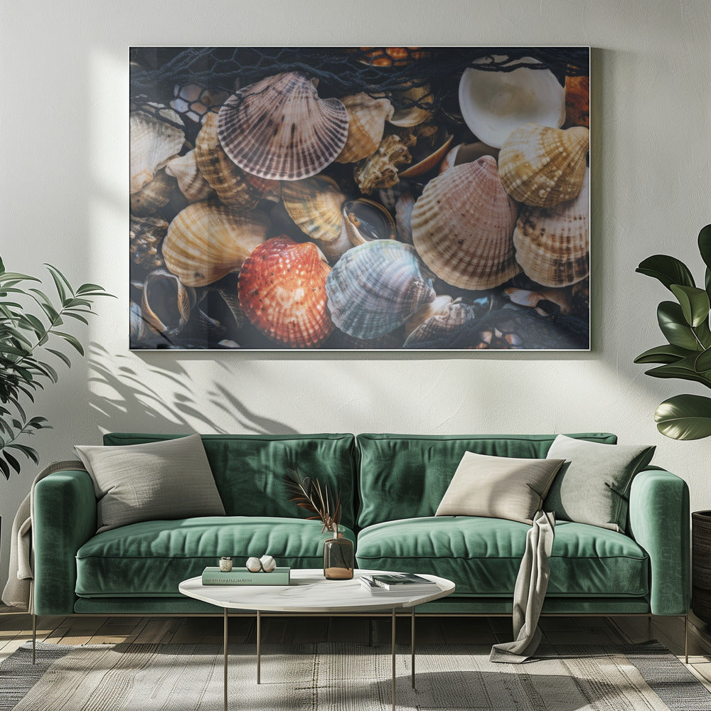 Shell Symphony | Canvas