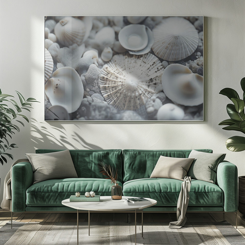 Seashell Symphony | Canvas