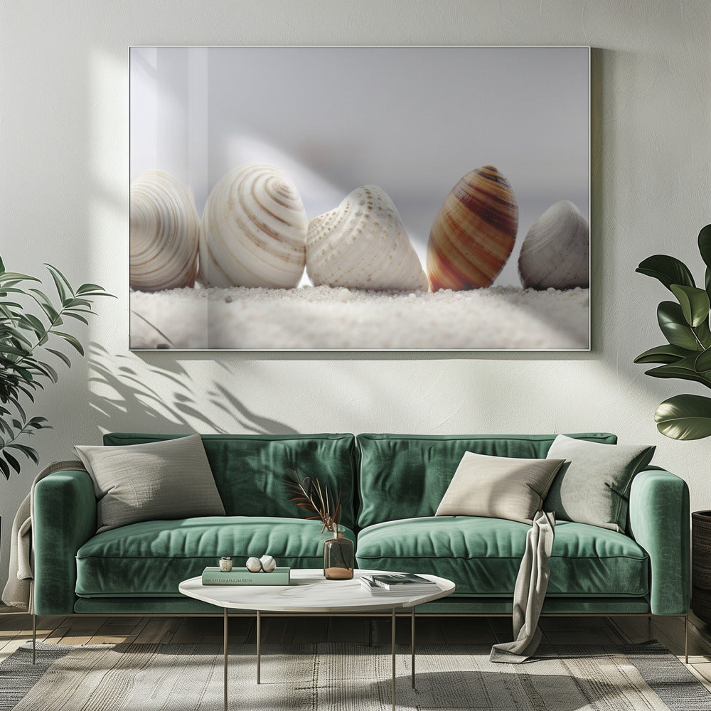 Seashell Symphony | Canvas