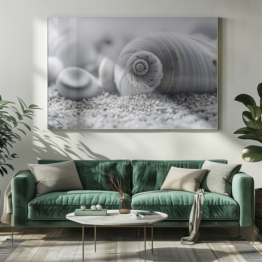 Seashell Serenity | Canvas