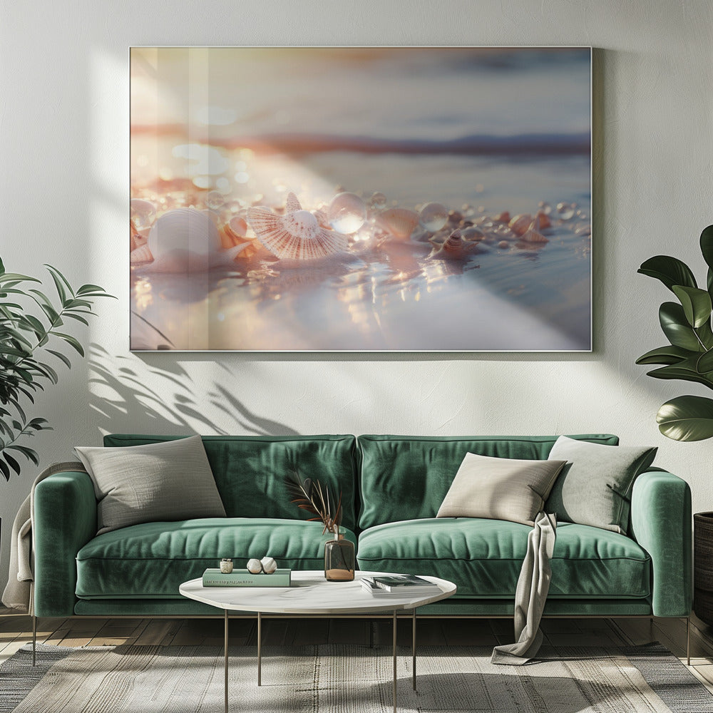 Seashell Serenity | Canvas