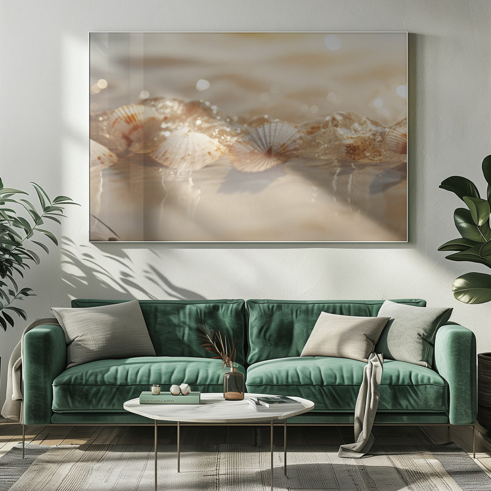 Seashell Serenade | Canvas
