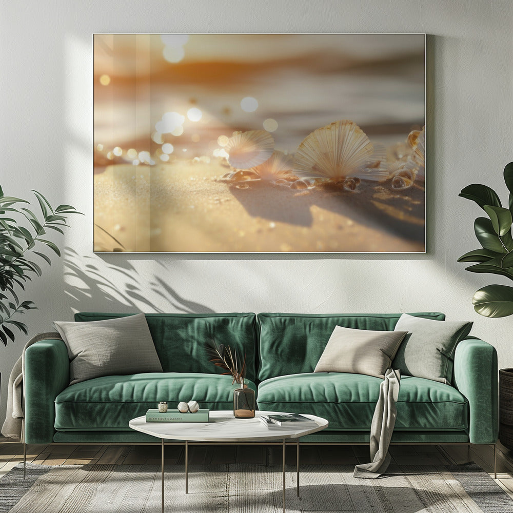 Sunlit Seashells | Canvas