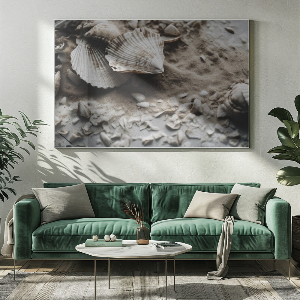 Seashell Serenity | Canvas