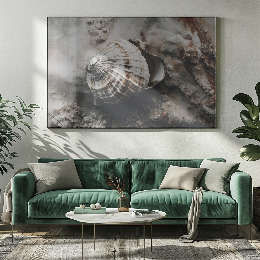 Seashell Serenity | Canvas