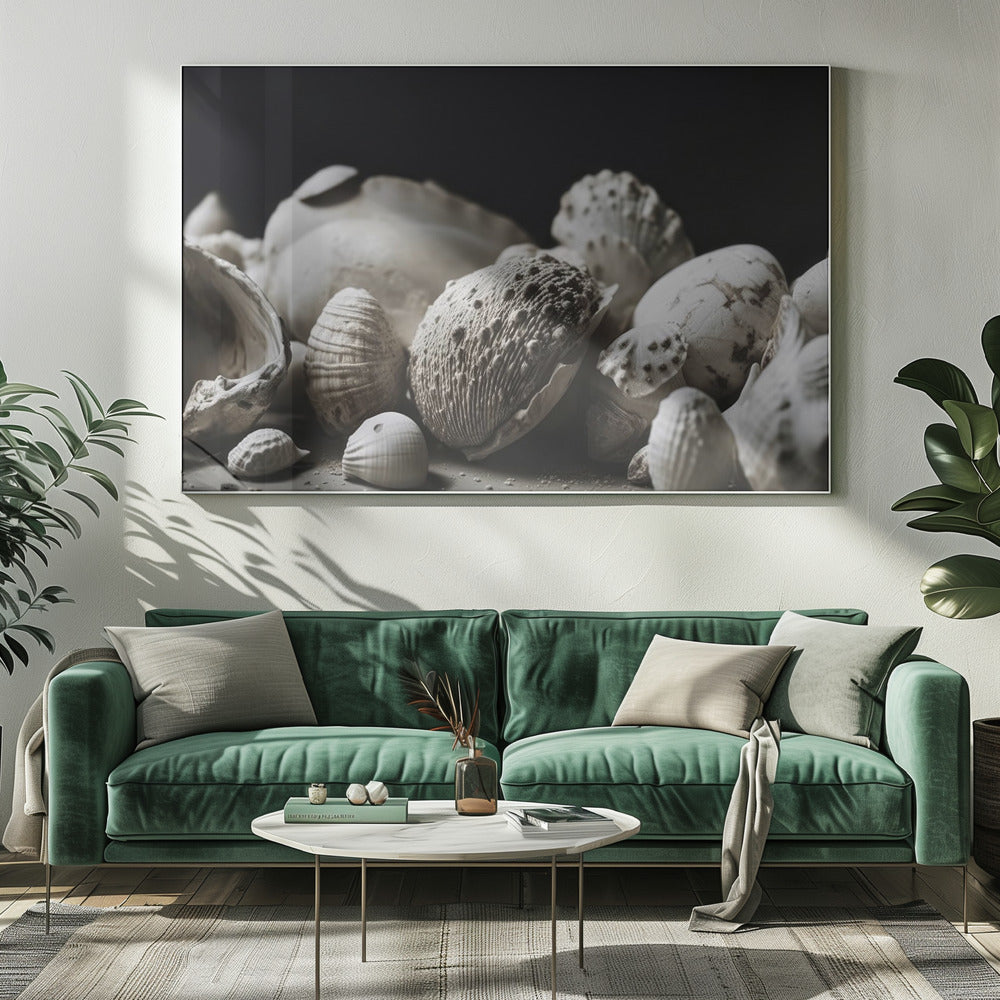 Shell Symphony | Canvas