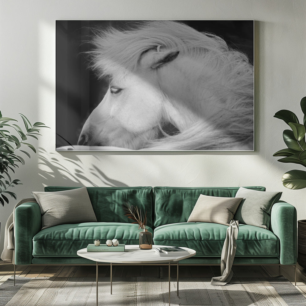 Listen to the Wind | Canvas