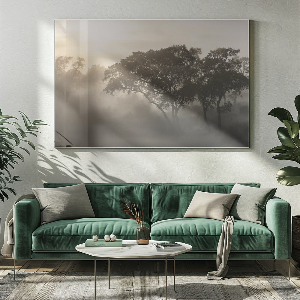 SAVANA SUNRISE | Canvas