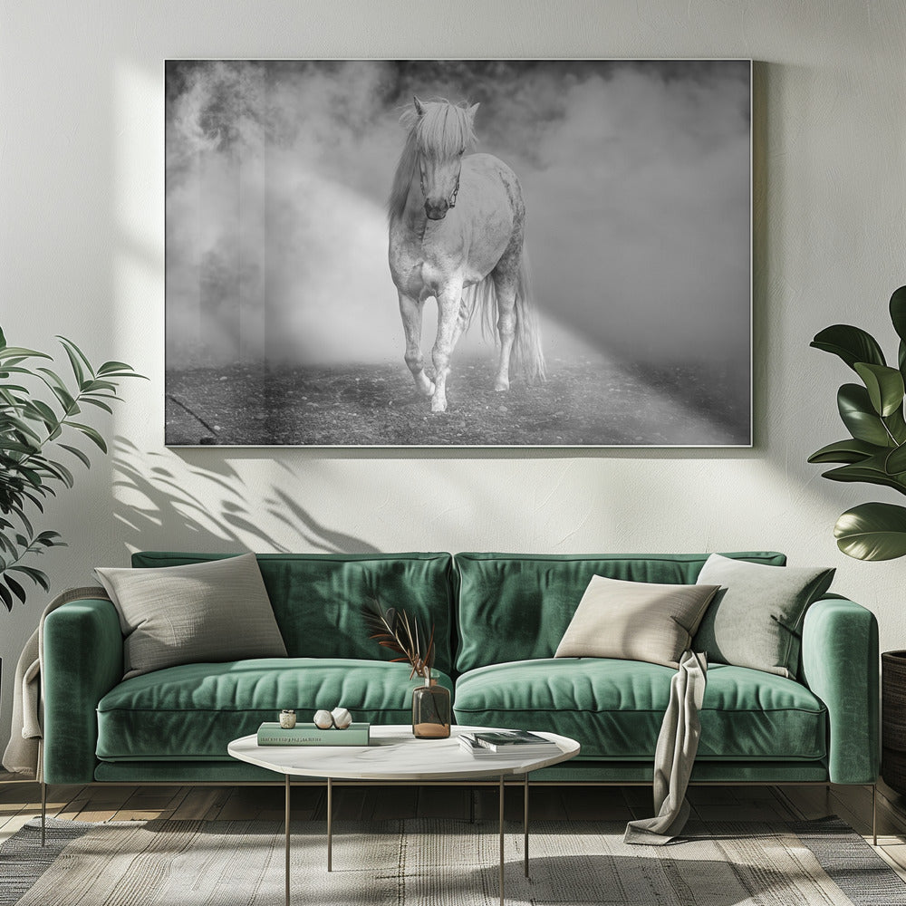 And there came a white horse | Canvas