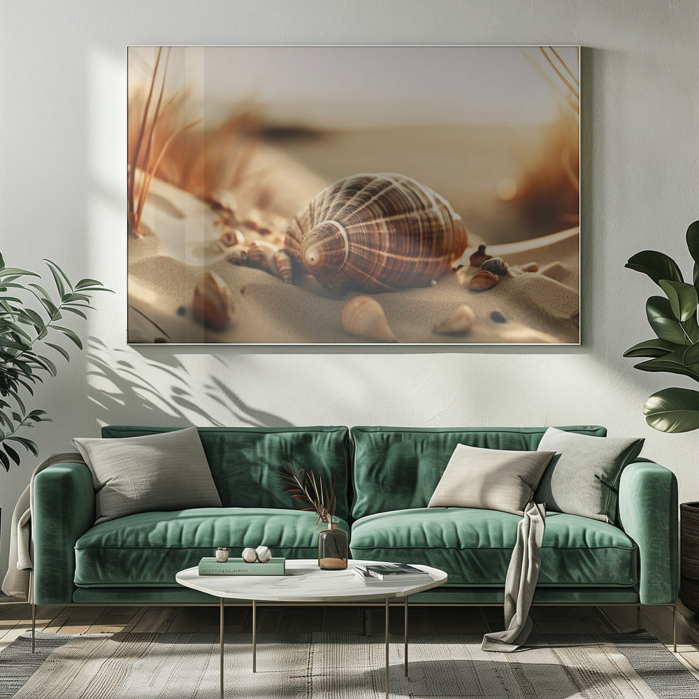 Dunes&#039; Silent Shells | Canvas