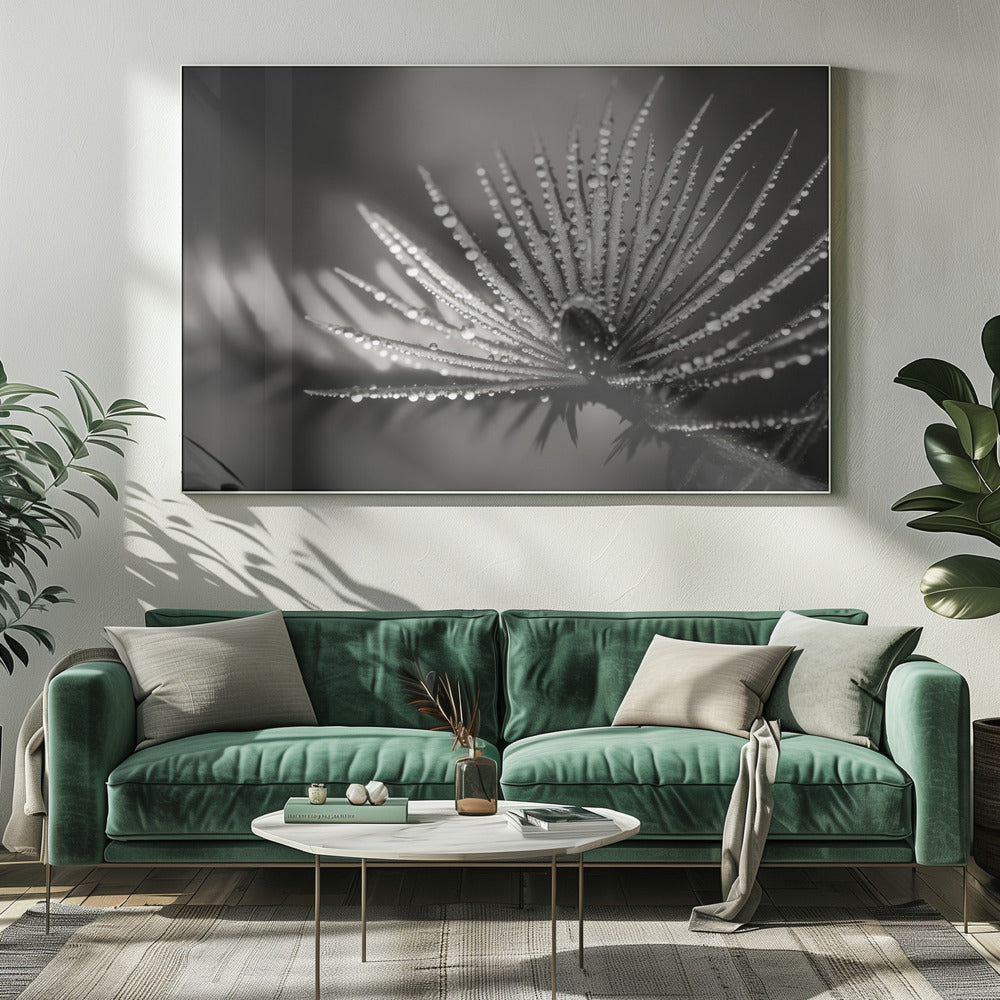 Dewy Elegance | Canvas