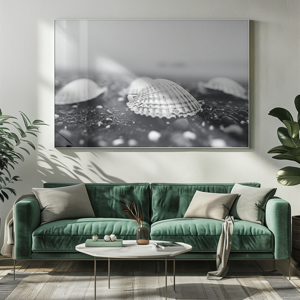 Seashell Serenity | Canvas