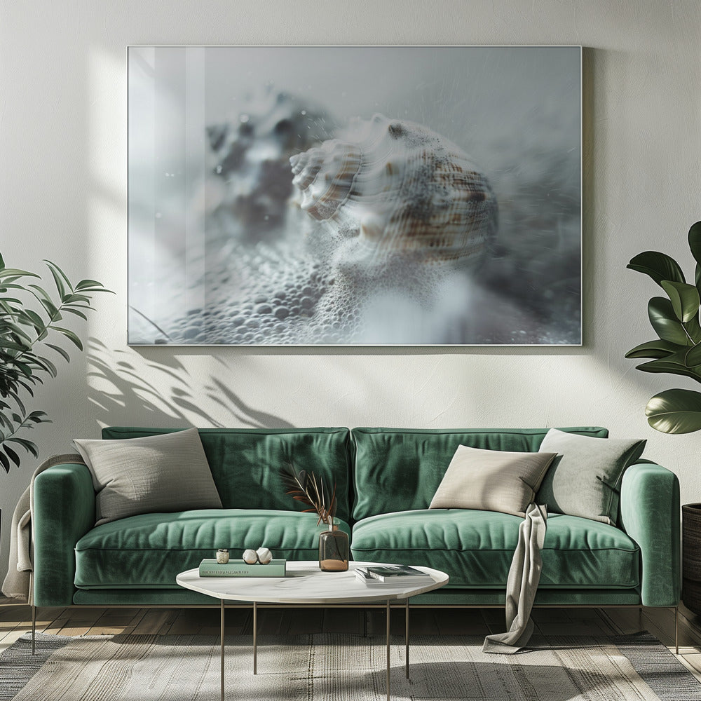 Shells in Ocean Mist | Canvas