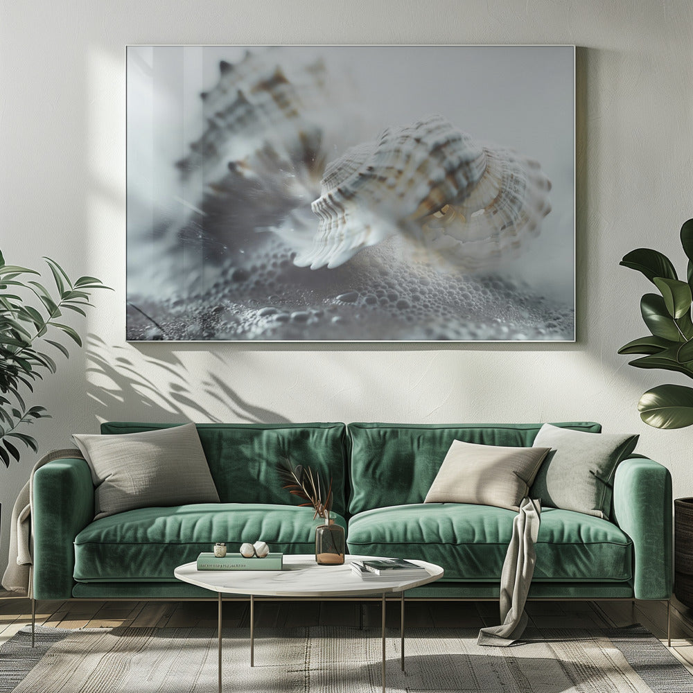 Seashell Serenity | Canvas