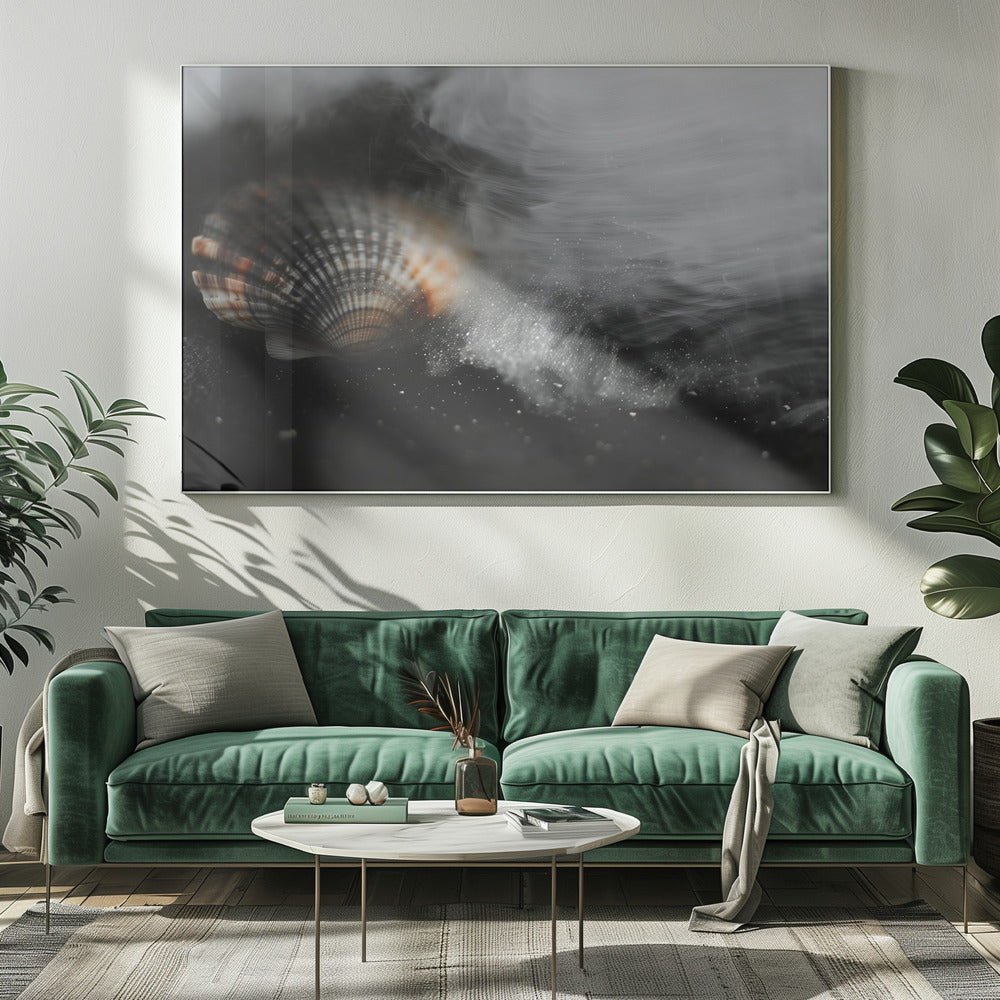 Whispering Shell | Canvas