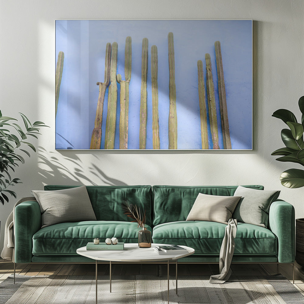 Tall Cacti on Blue | Oaxaca Mexico Travel | Canvas