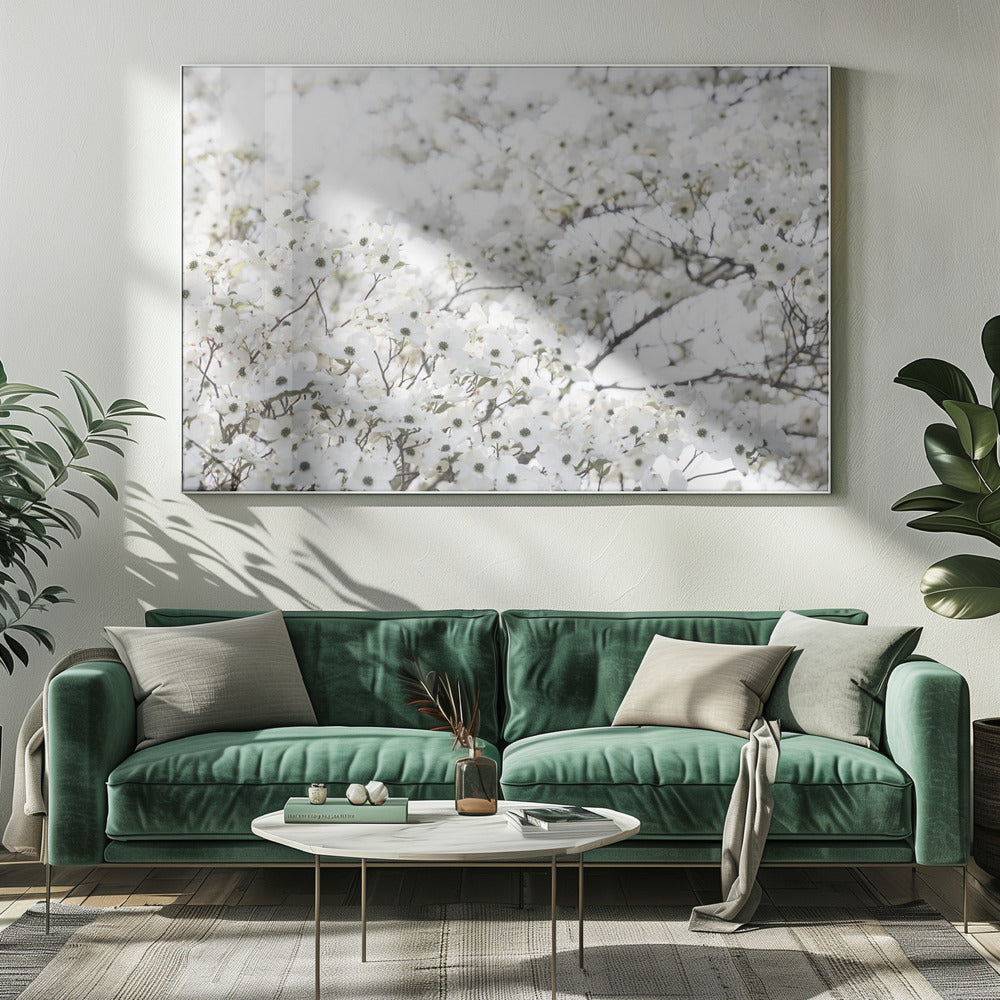 White Spring Tree 1 | Canvas