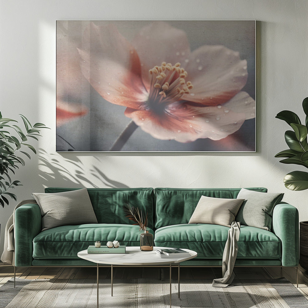 Petals of Serenity | Canvas