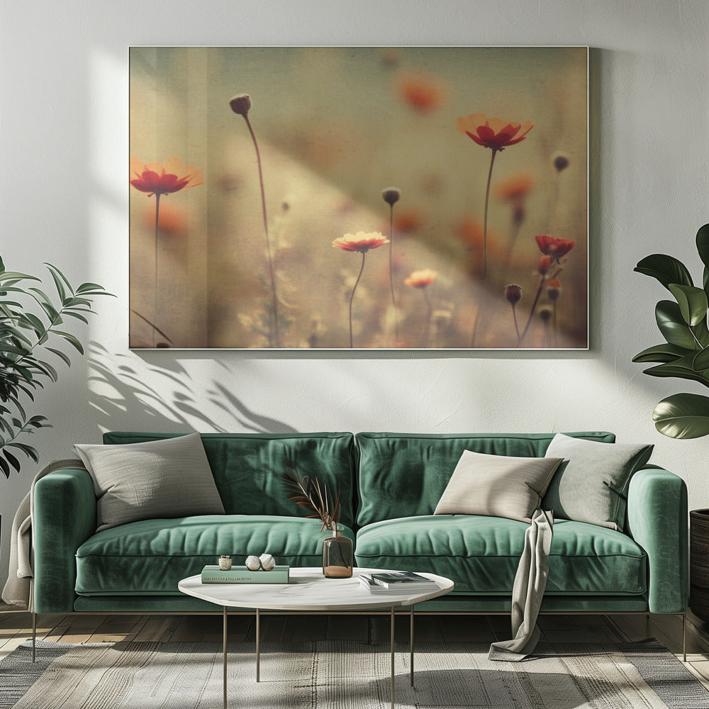 Whispering Poppies | Canvas