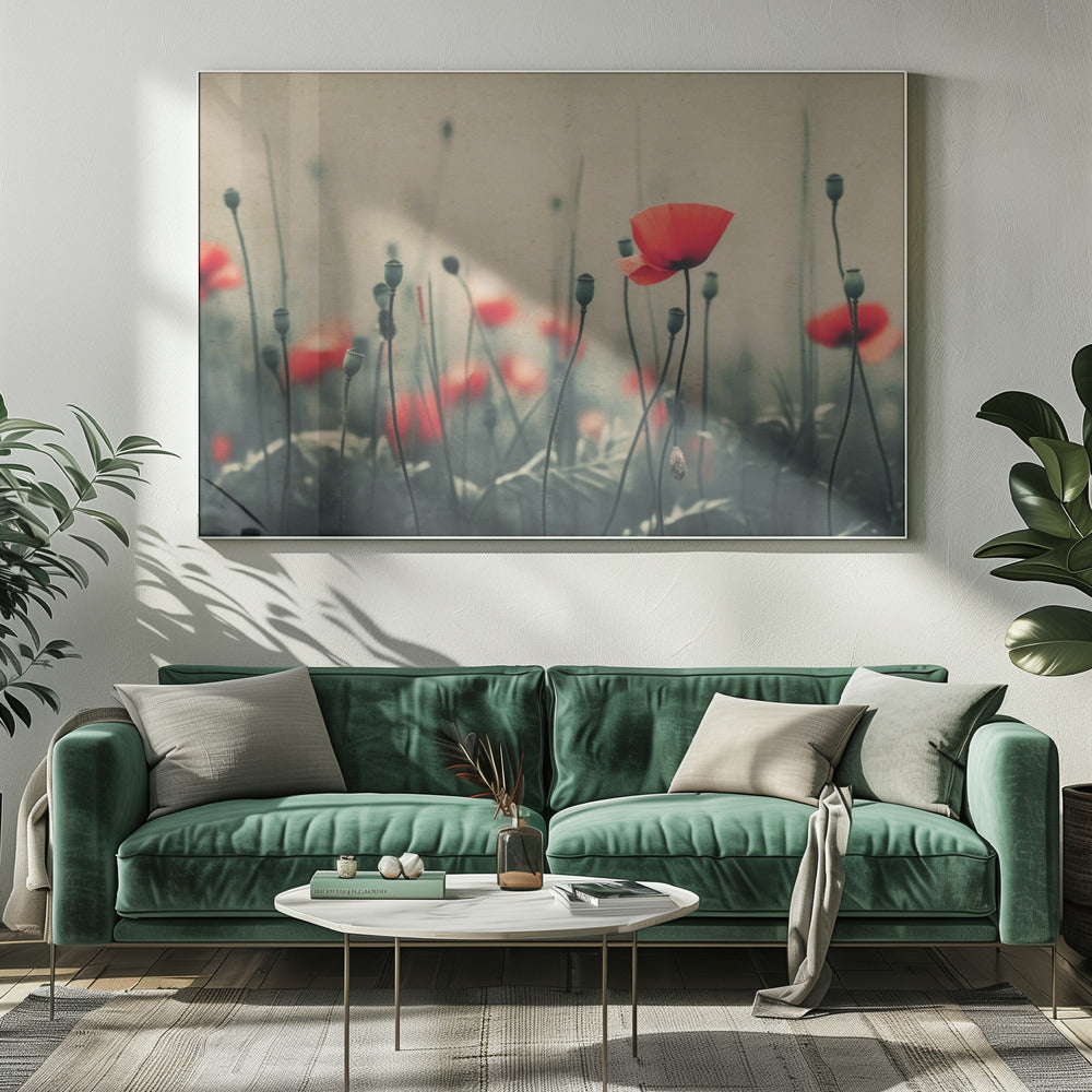 Poppies in the Mist | Canvas