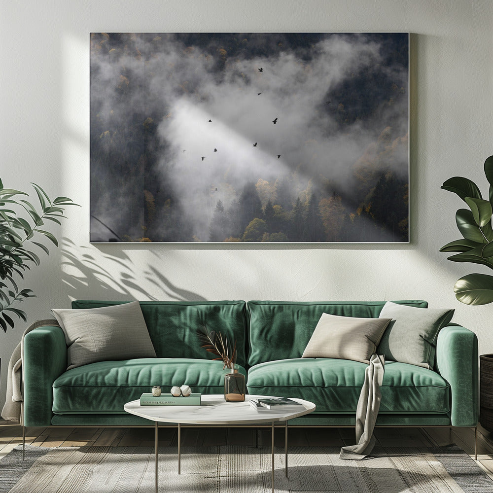 Foggy Woods 8 | Canvas