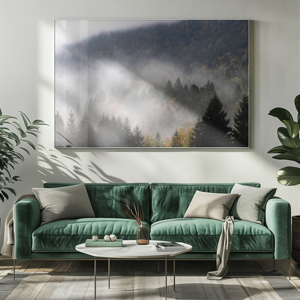 Foggy Woods 9 | Canvas