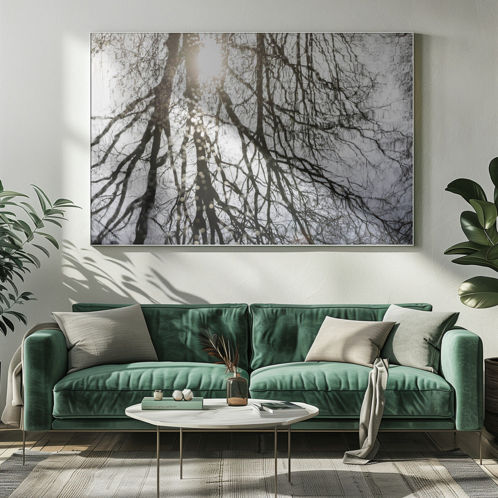 Winter Reflections 3 | Canvas