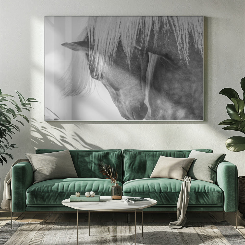 Haflinger Portrait II | Canvas