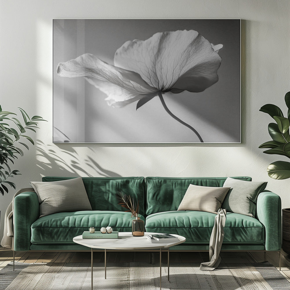 Delicate Petal Dance | Canvas