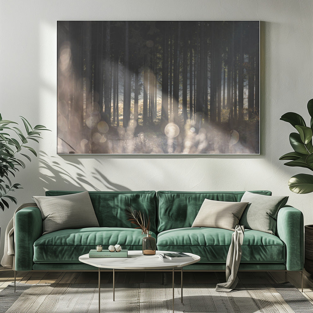Forest Glow 1 | Canvas